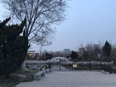 -绿岛公园(滨海新区)