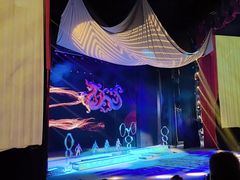 -水秀国际大剧院