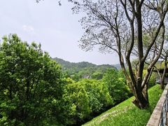 -西湖风景区-江洋畈生态公园