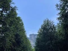 -重庆睡佛山森林公园