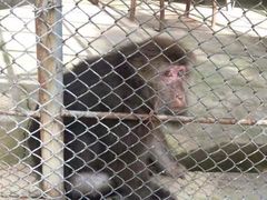 -哈尔滨北方森林动物园