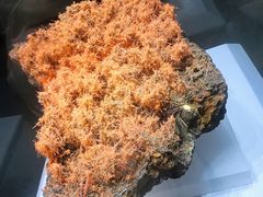 -湖南省地质博物馆