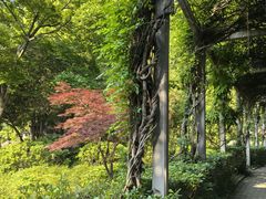 -叶家花园