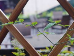 -螃牛记创意火锅