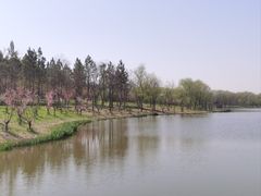 -江苏三台山国家森林公园