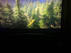 -上影国际影城(普陀绿地缤纷城店)