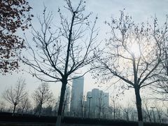 -东港音乐喷泉广场