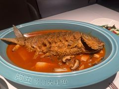-阿五黄河大鲤鱼(英协路店)