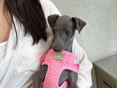 -Cycle&Cycle Artisan(天目里店)