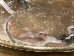 -食潮汕头鲜牛馆(望京保利店)