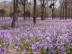 -瀛海足球主题公园