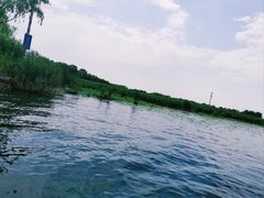 -白洋淀景区