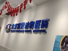-北京观赏动物医院·24小时大型综合·猫专科·异宠专科
