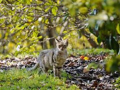 -苏州河梦清园环保主题公园