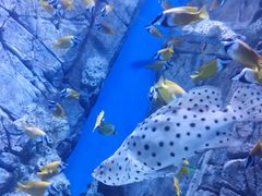 -成都浩海立方海洋公园