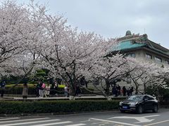 -武汉大学-樱园