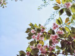 -长白岛森林公园