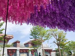 -厦门方特梦幻王国