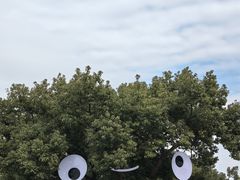 -东钱湖小普陀景区