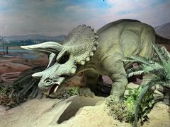 -国家自然博物馆