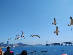 -黑石礁公园