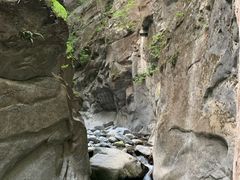 -黑河国家森林公园