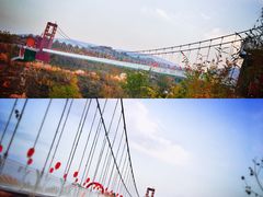 -金城公园