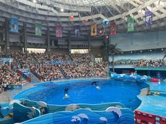 -海合安成都极地海洋公园