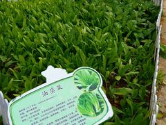 -天河儿童公园