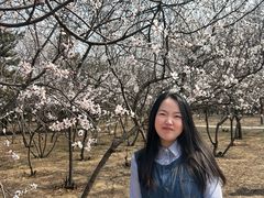 -绿堤公园