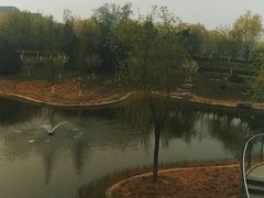 -中关村生命科学园