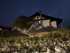 -高坎一品甲鱼庄(两河店)