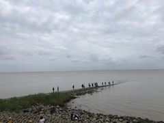 -瀛洲公园