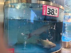 -蜀滋香鲜鱼美蛙火锅(339店)