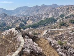 -龙泉峪长城