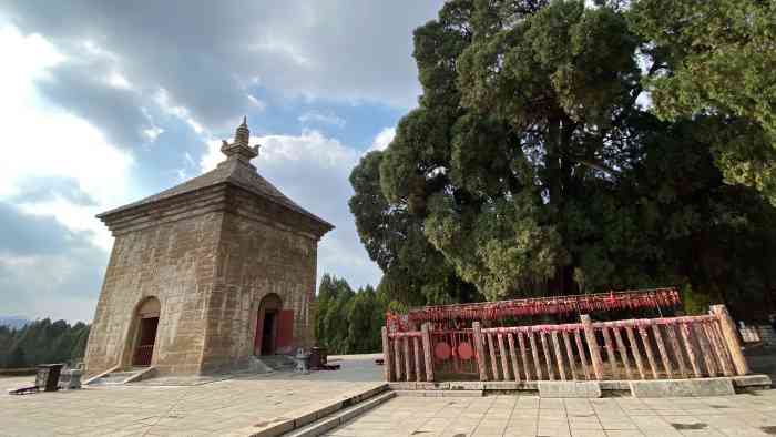 四门塔风景区-"98989898九顶松已有2000年的树.