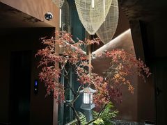 -椿杨樘·明康泡浴养生馆(重庆店)