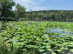 -承德避暑山庄景区