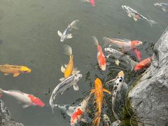 -江宁织造博物馆