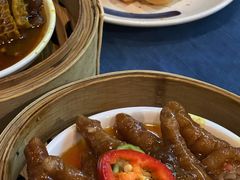 -伯乐居茶艺馆(石岐大信店)
