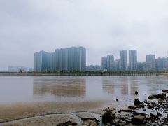 -观澳平台
