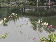 -顺峰山公园