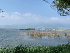 -野鸭湖国家湿地公园