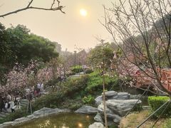 -小南山公园