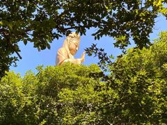 -普陀山慧济禅寺