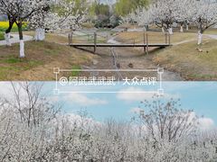 -国际非物质文化遗产博览园