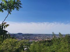 -府君山公园