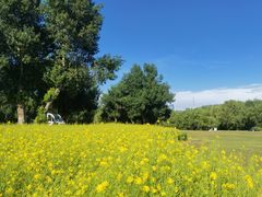 -长白岛森林公园