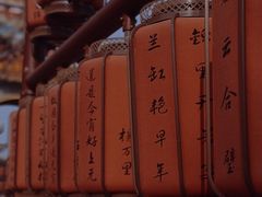 -海花岛旅游度假区