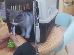 -宠颐生宠物医院·心肾内科·猫专科诊疗中心宠巢店
